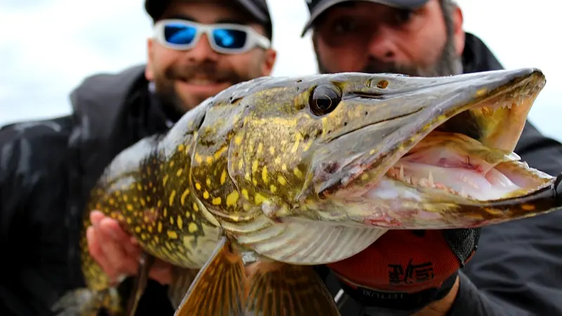 Guide de pêche : Cédrick Plasseau_3