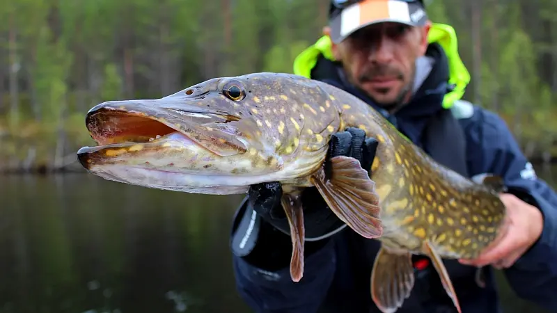 Guide de pêche : Cédrick Plasseau_4