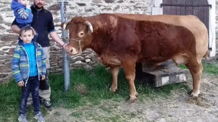 Ferme du champeix saint-yrieix_2