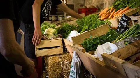 ferme collective de la tournerie_2