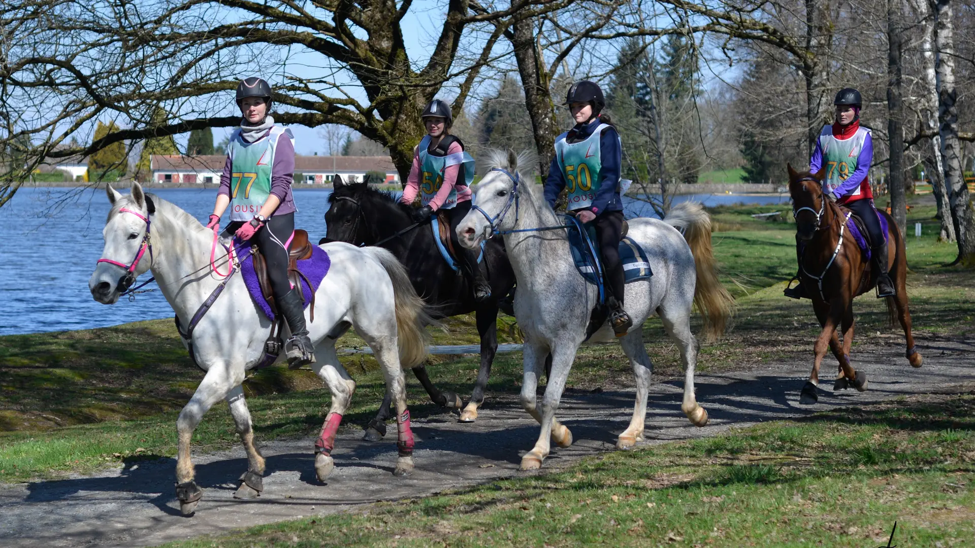 Sentier des carrieres (Equestre)_2