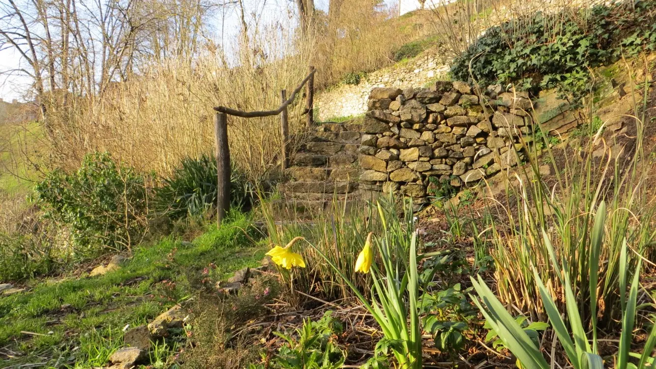 Jardin des Côtes sur les rives du Vincou_5