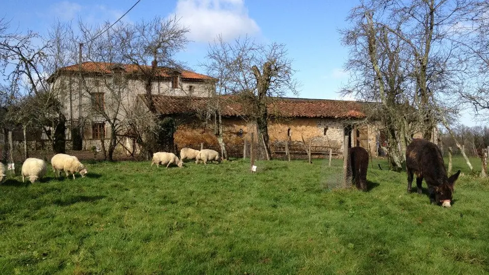 Meublé de tourisme - Holiday gite la Gimbretière_9