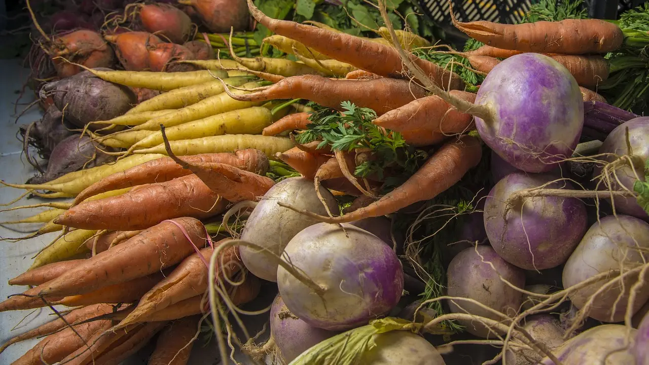 Légumes racines_1