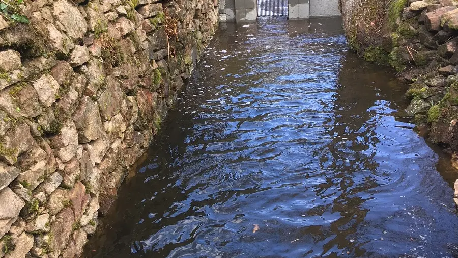 Pisciculture des Saules Blancs_2