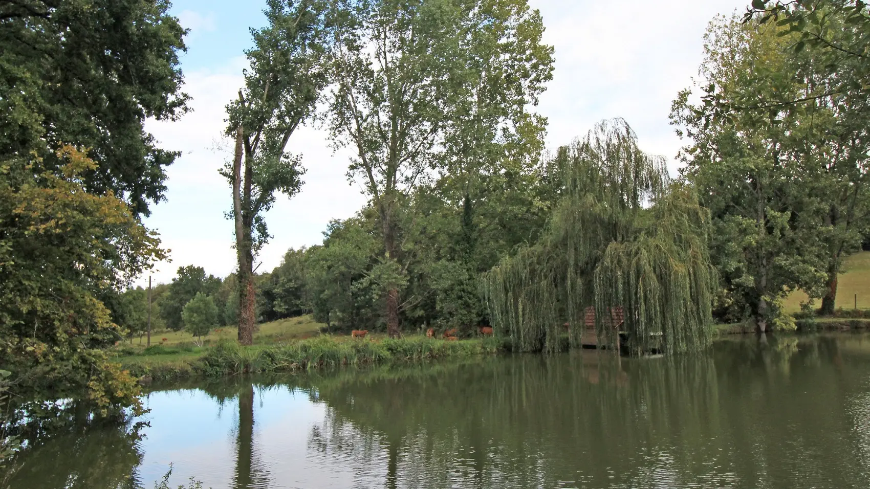 Meublé de tourisme Le gîte d'Au_9