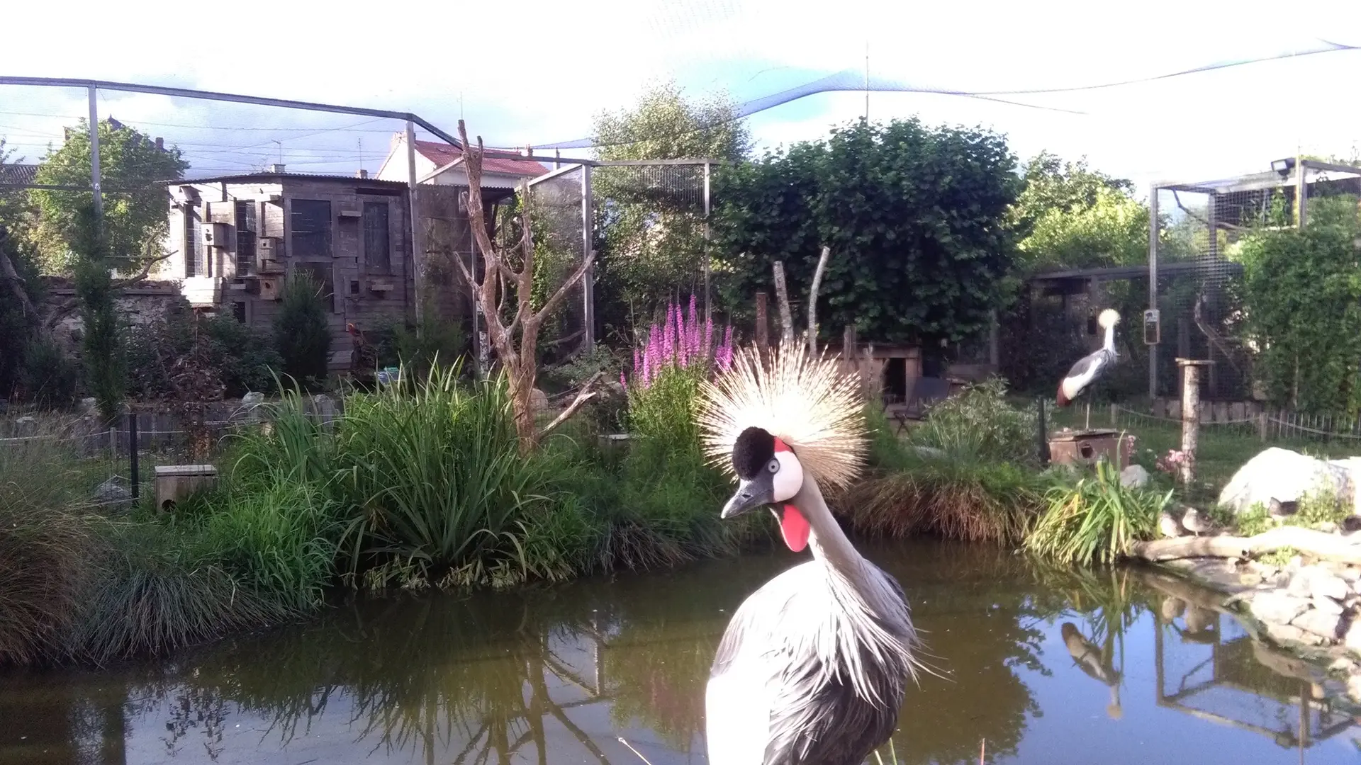 Jardin Zoologique Bellachon_2