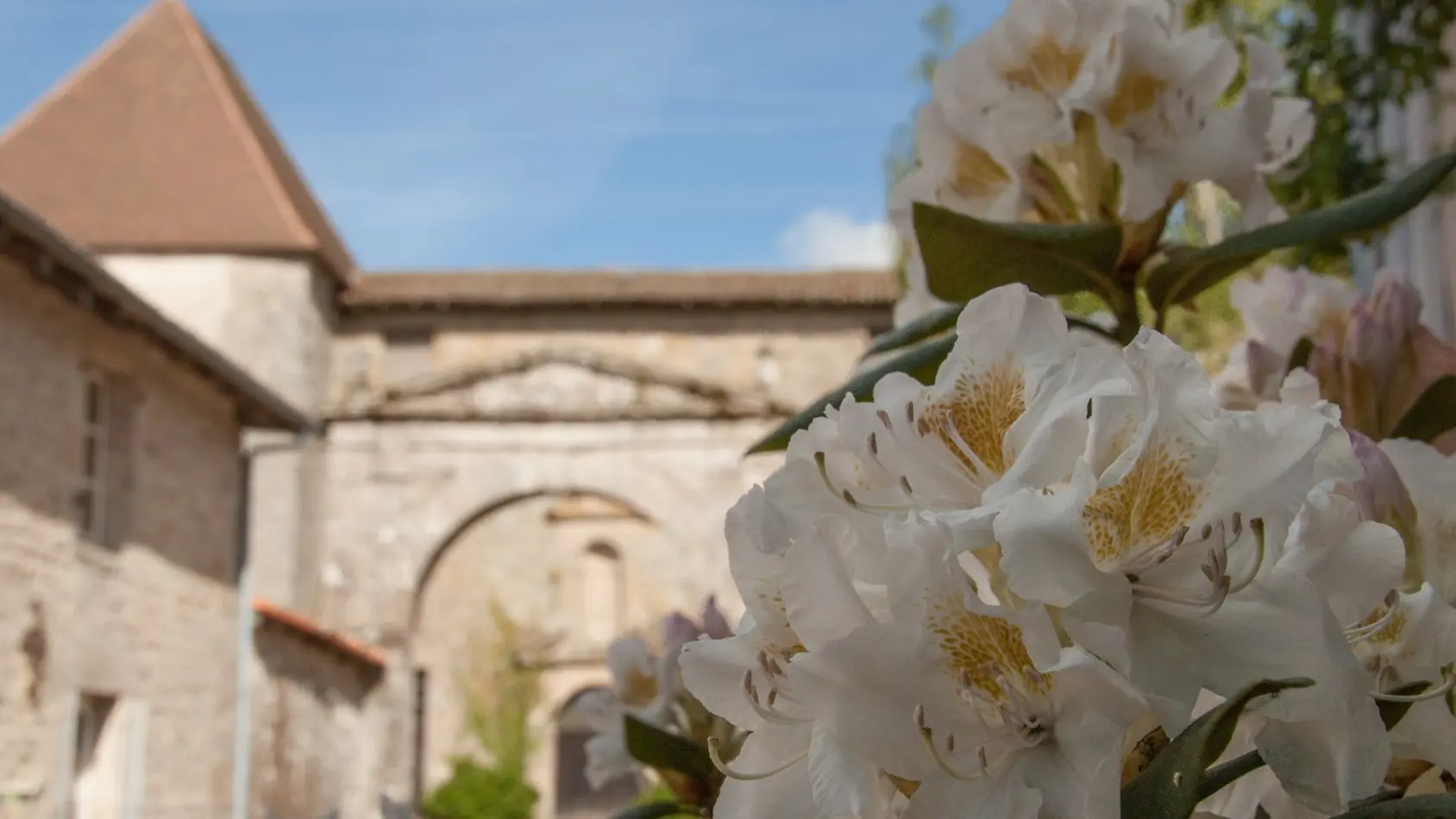 Couvent des Carmes Mortemart_2