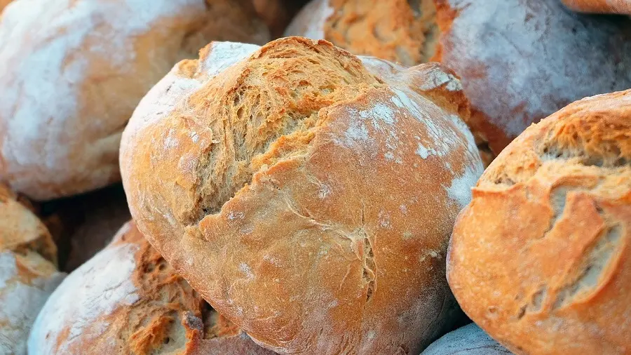 La Ferme des Champs - pain au levain_1