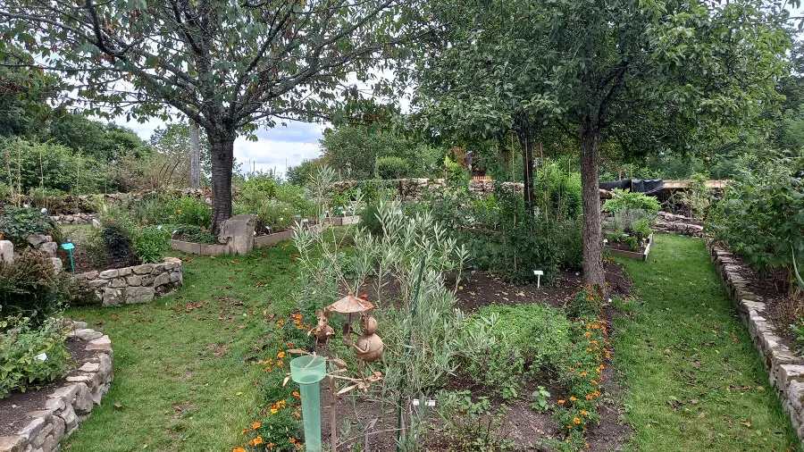 Jardin botanique_1