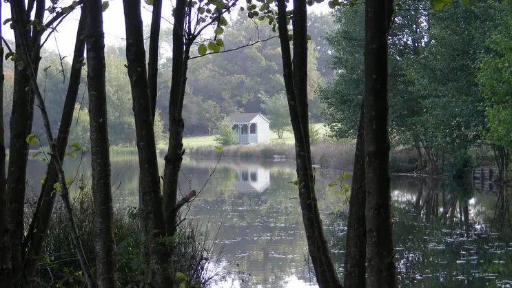 Meublé Lake view_7