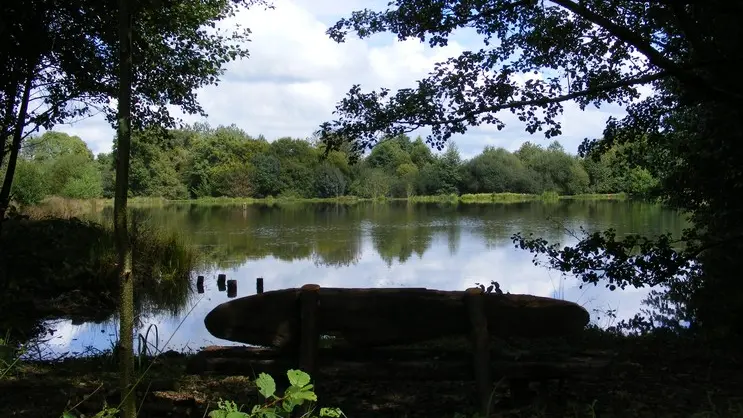 Meublé Lake view_6