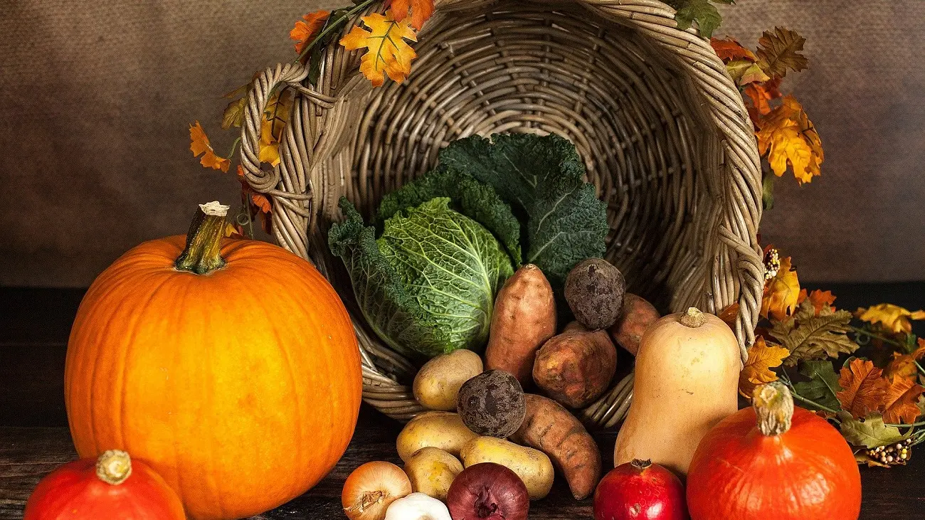 Ferme de la Coulinière - Légumes_1