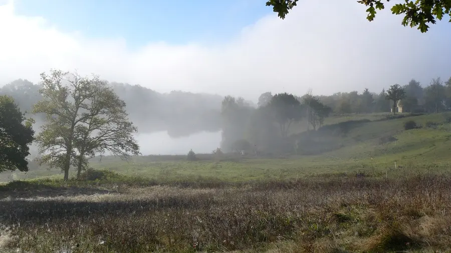 L'abeille des Monts de Blond - Miels, pain d'épices, nougat et hydromel bios_2