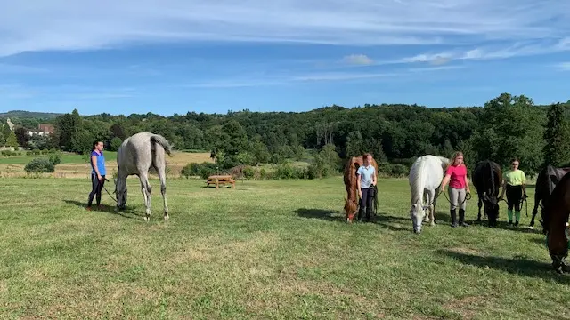 Aire de bivouac de Saint-Méard_1