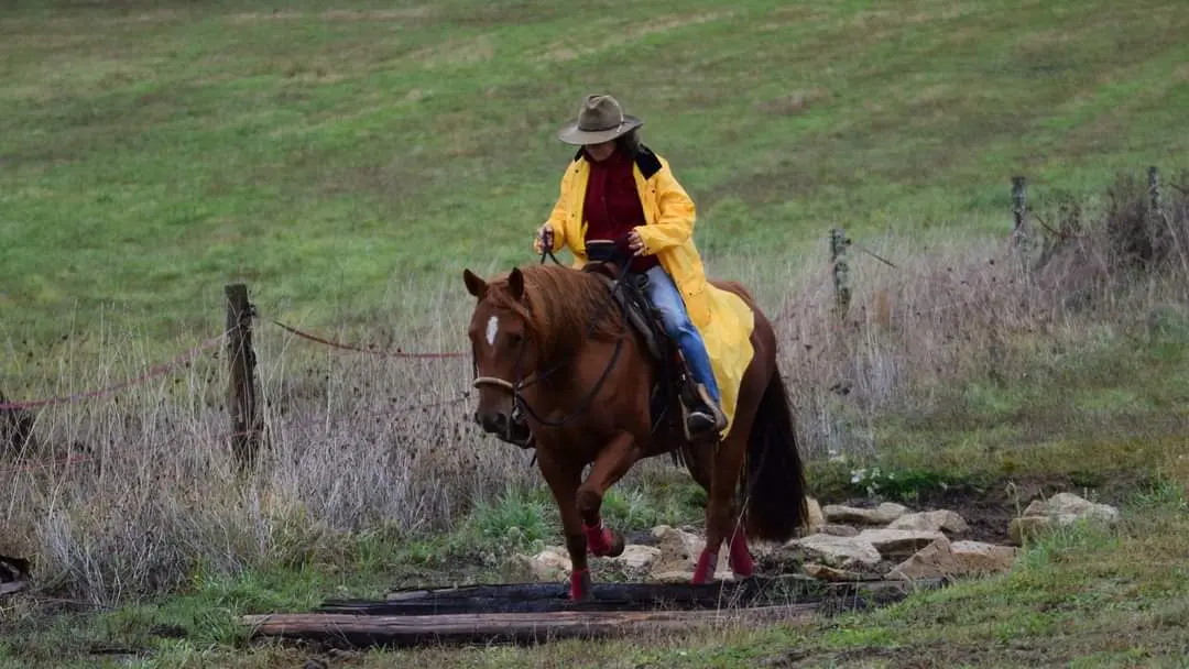 NAHANI RANCH-Mountain Trail Equitation western comportementale_8