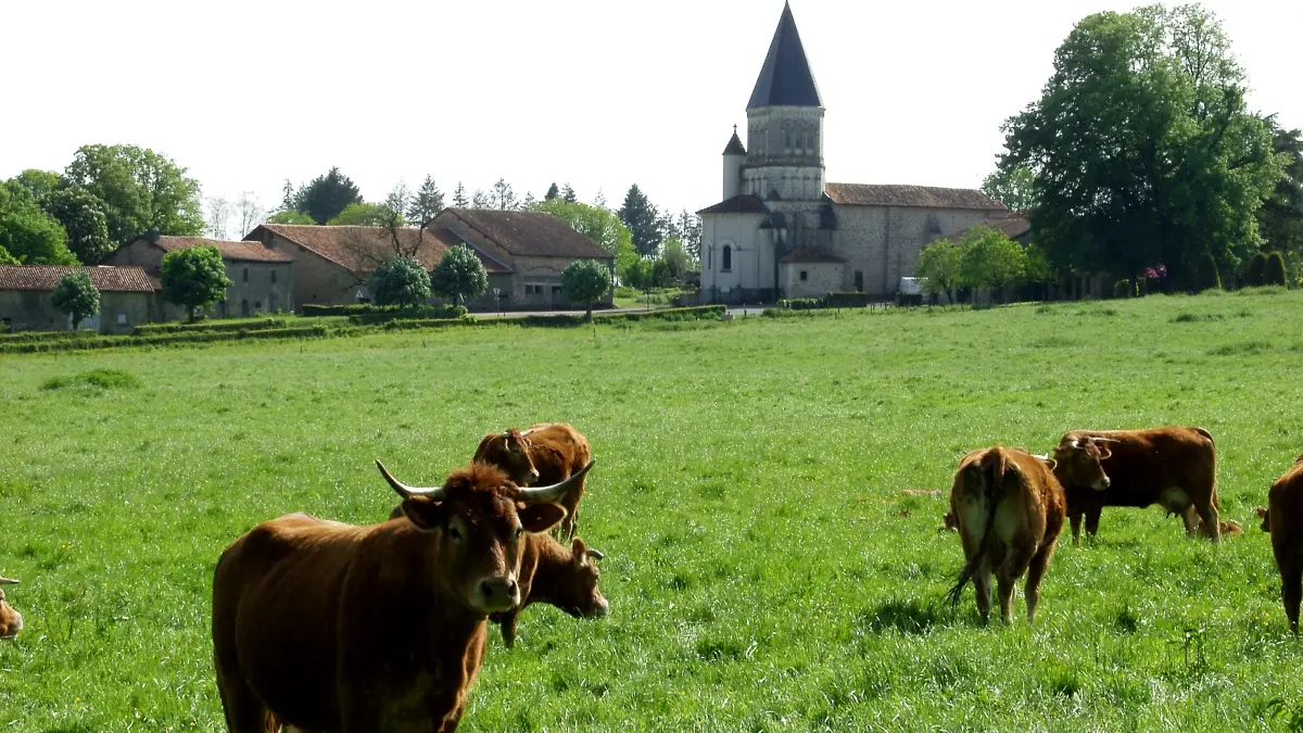 Eglise de Maisonnais sur Tardoire_2