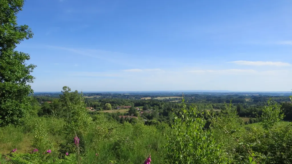 Point de vue aménagé - Forêt de Boubon_2