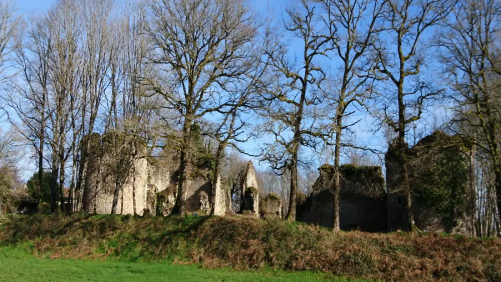 Château de Lavauguyon_1