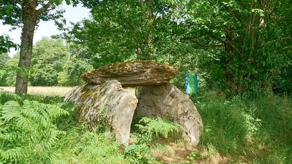 Dolmen de la Tamanie_1