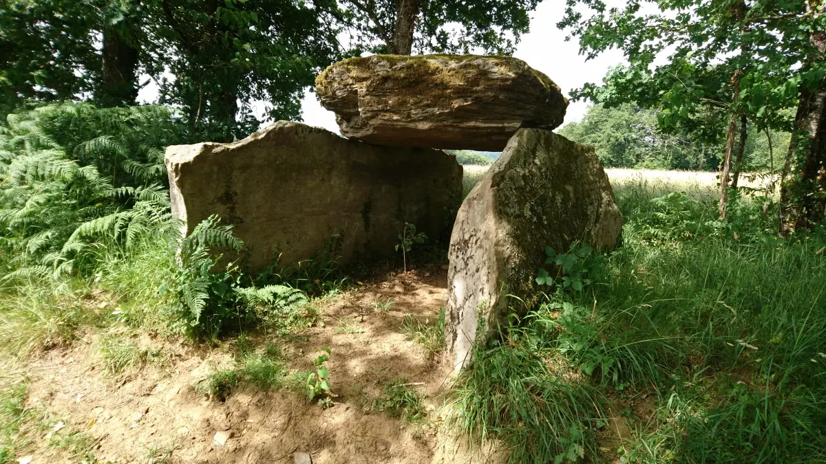 Dolmen de la Tamanie_2