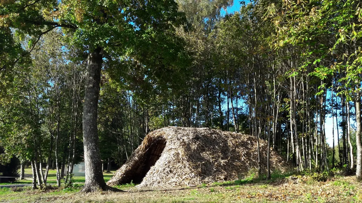 Cabane de feuillardier à Masselièvre_1