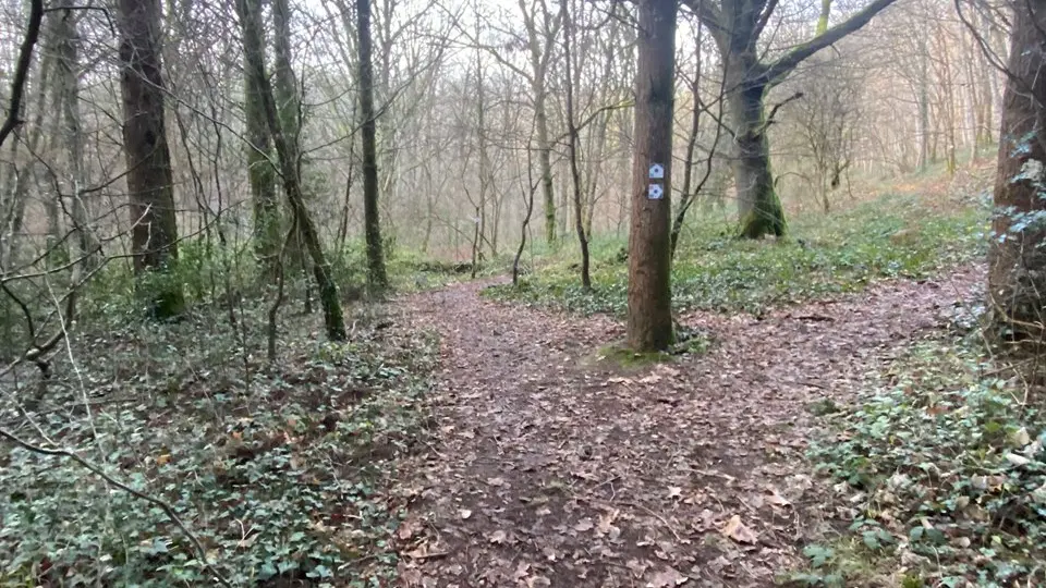 Circuit Uni'Vert Trail n°2 de la paix_2