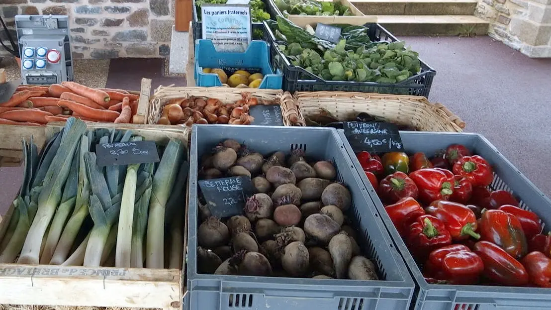 Légumes bio de l’association maraîchère 