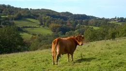 Circuit de la mure au billange 1_1