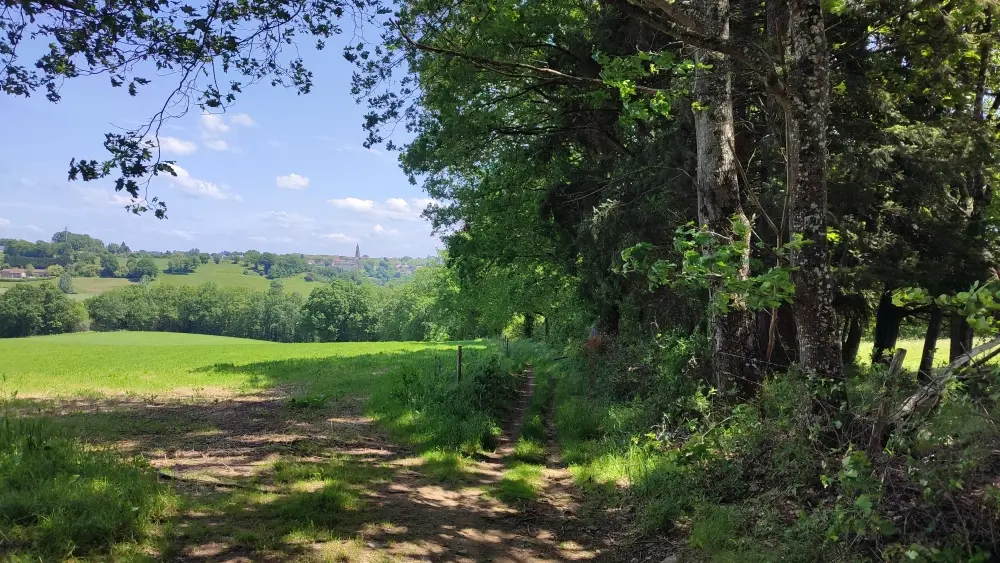 Vue sur la collégiale de Saint-Léonard
