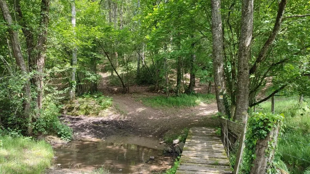 Passage d'un ruisseau