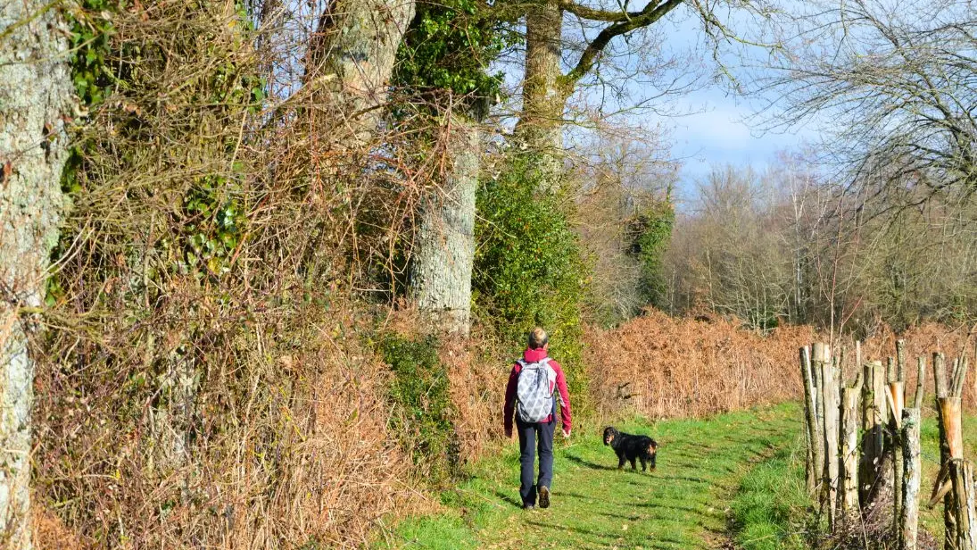 Circuit des Fontaines et des Étangs à Flavignac