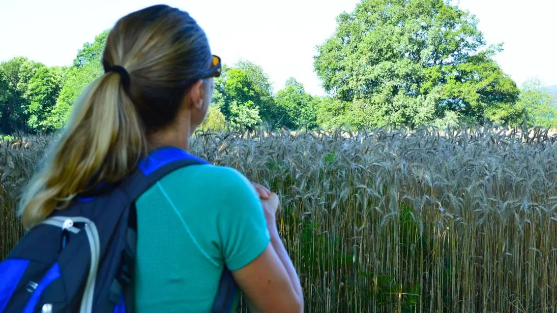 Circuit du Moulichou à Châlus