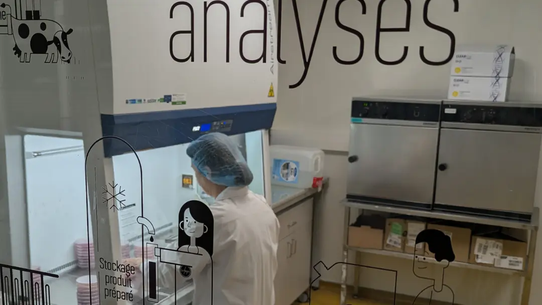 visite fayes insta - 3