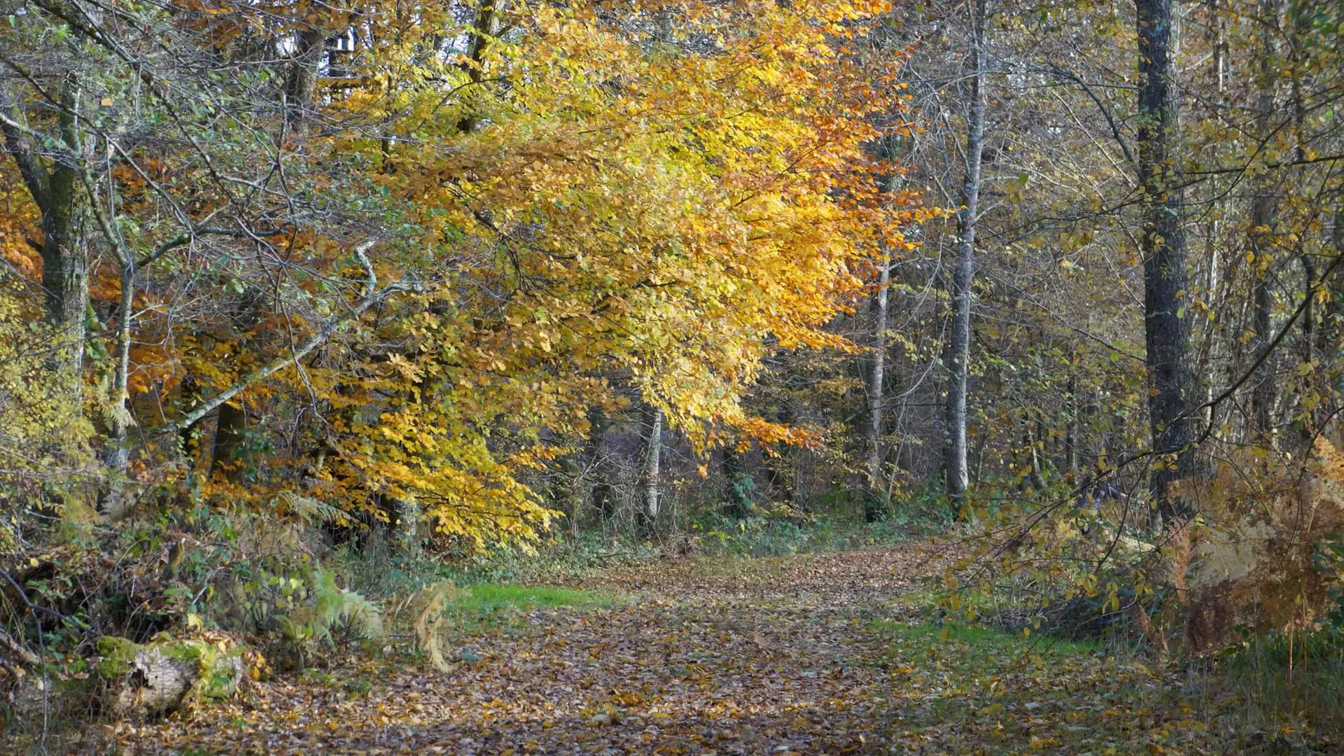 Le géocaching Laissez voguer les petits papiers à Royères