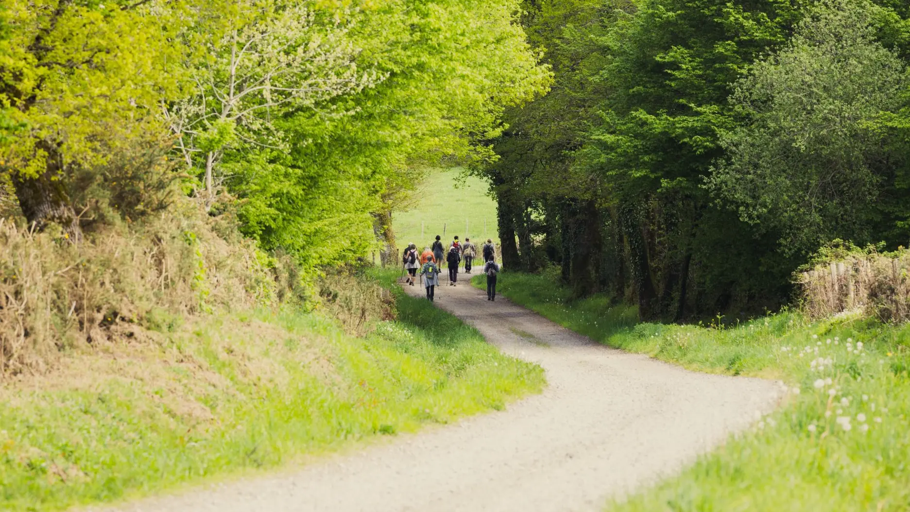 tourisme-porte-océane-limousin-bramefan-rochechouart-1