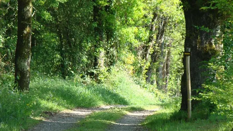 Circuit des rives de la Charente_1