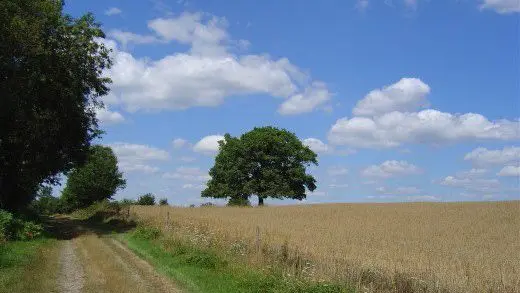 Circuit des rives de la Charente_2