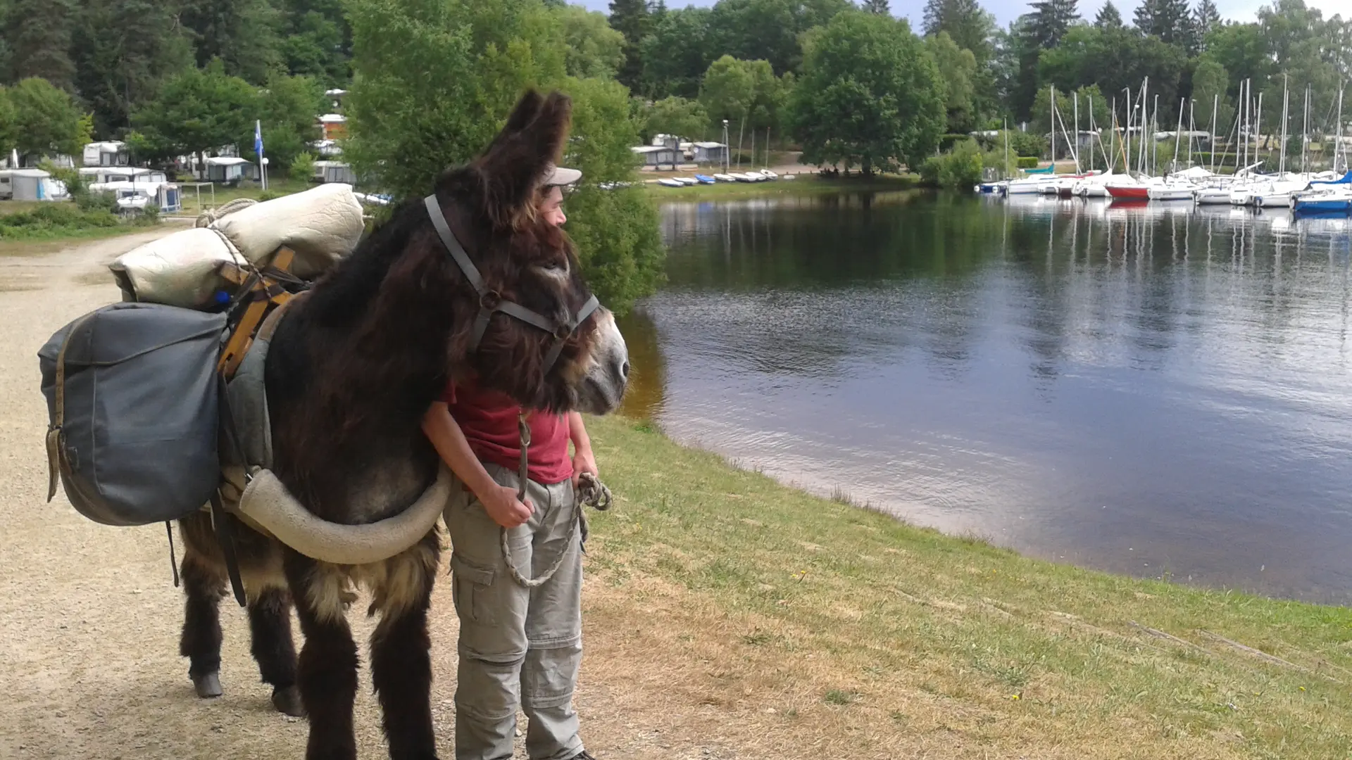 Ferme pédagogique Les Anes de Vassivière_3