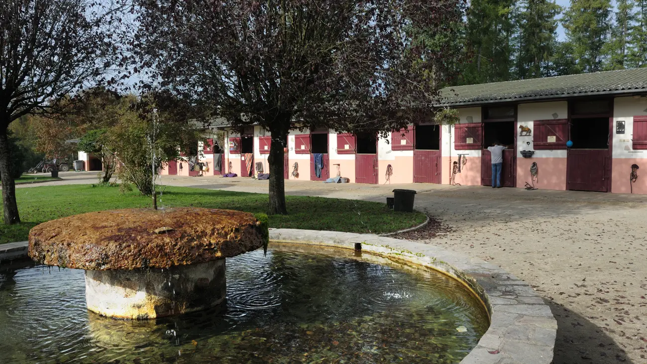 Centre equestre domaine de muret