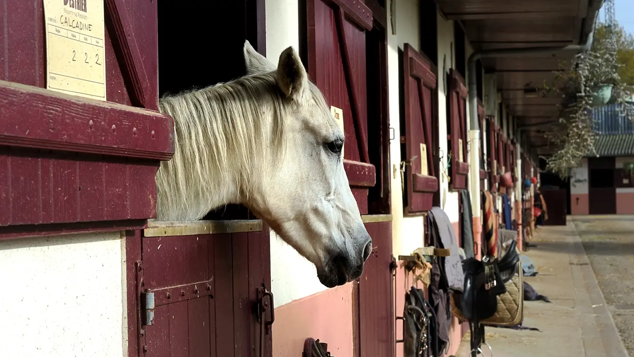 Centre equestre domaine de muret