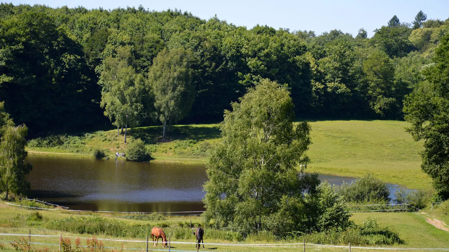 Centre equestre domaine de muret