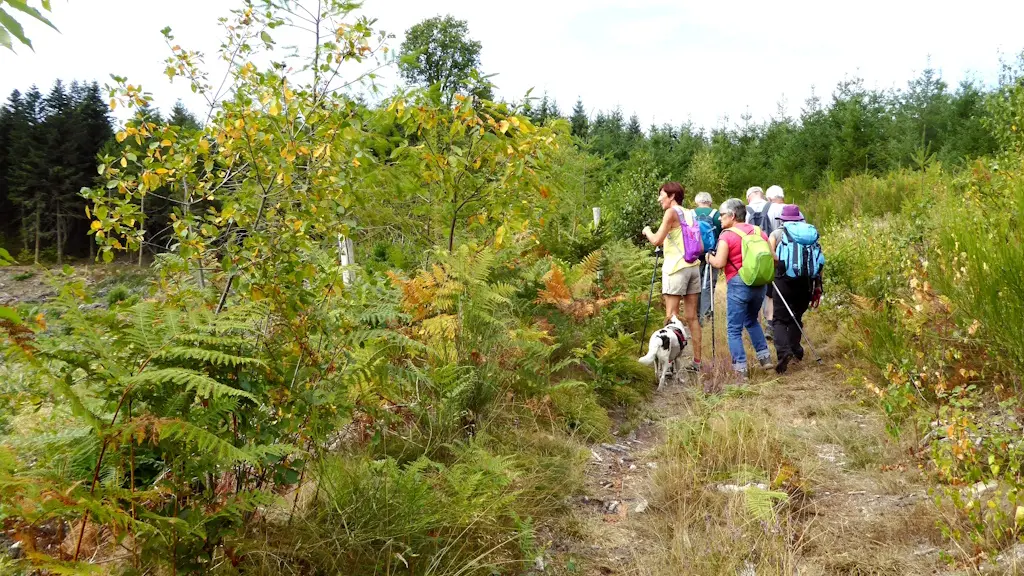 Chemin de randonnée