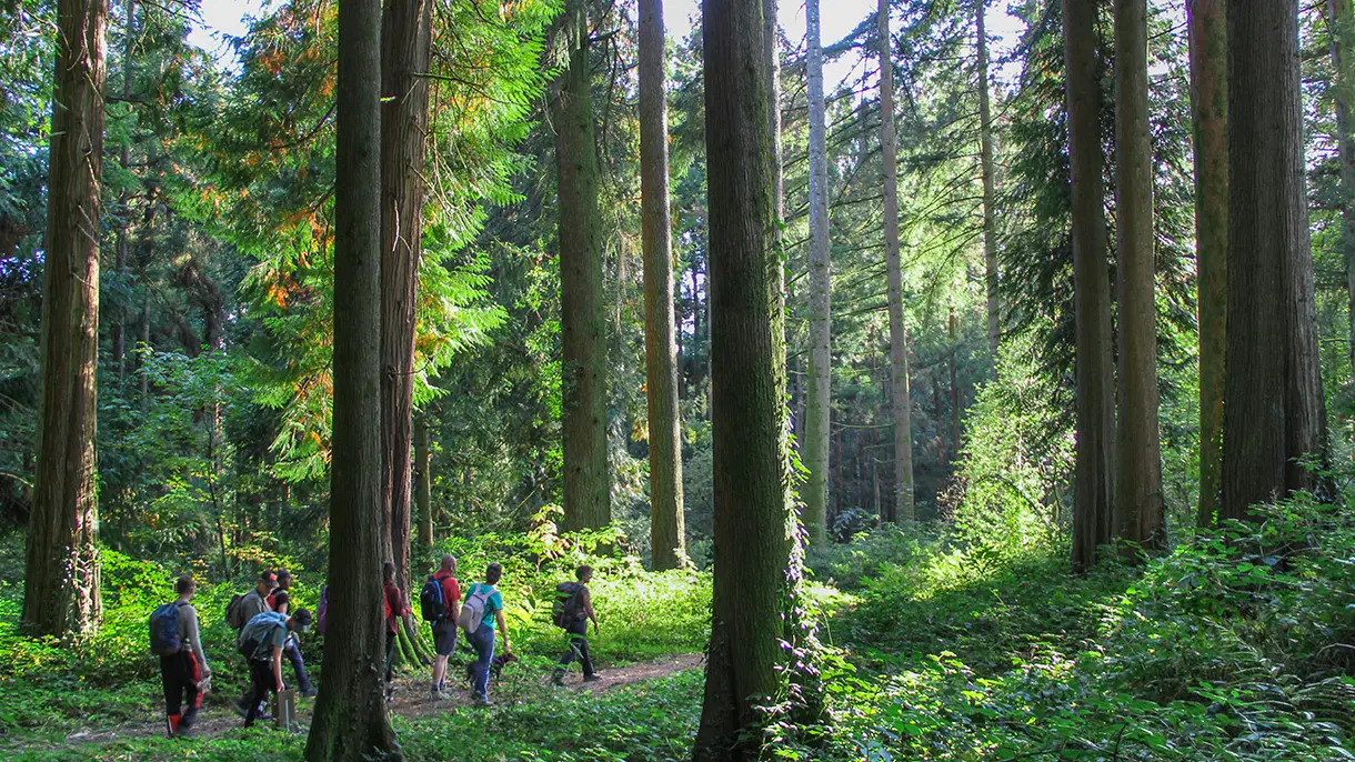 Arboretum_jonchere Sirtaki (1)