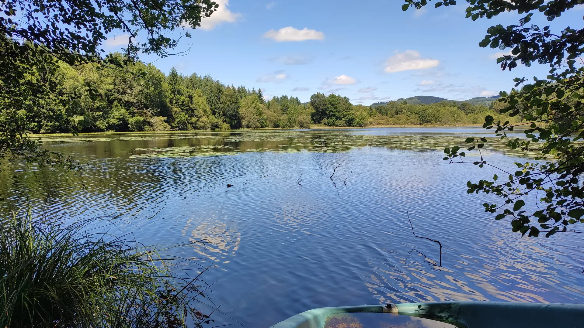 Auriat - Chemin du borg d'étang du Moulin de la Farge - Pays Monts et Barrages - Aurélien Clavreul