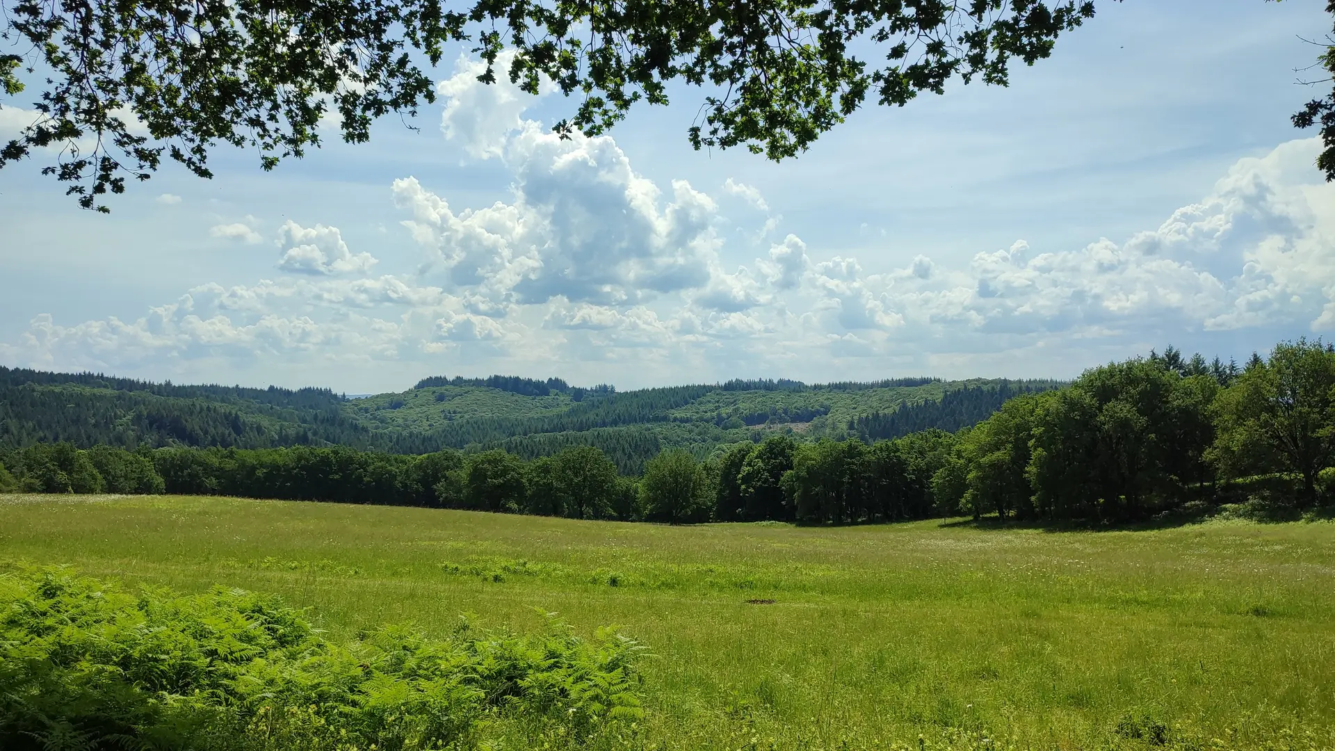 Auriat - Vue depuis la route de Grosland - Le Puy - Pays Monts et Barrages - Aurélien Clavreul