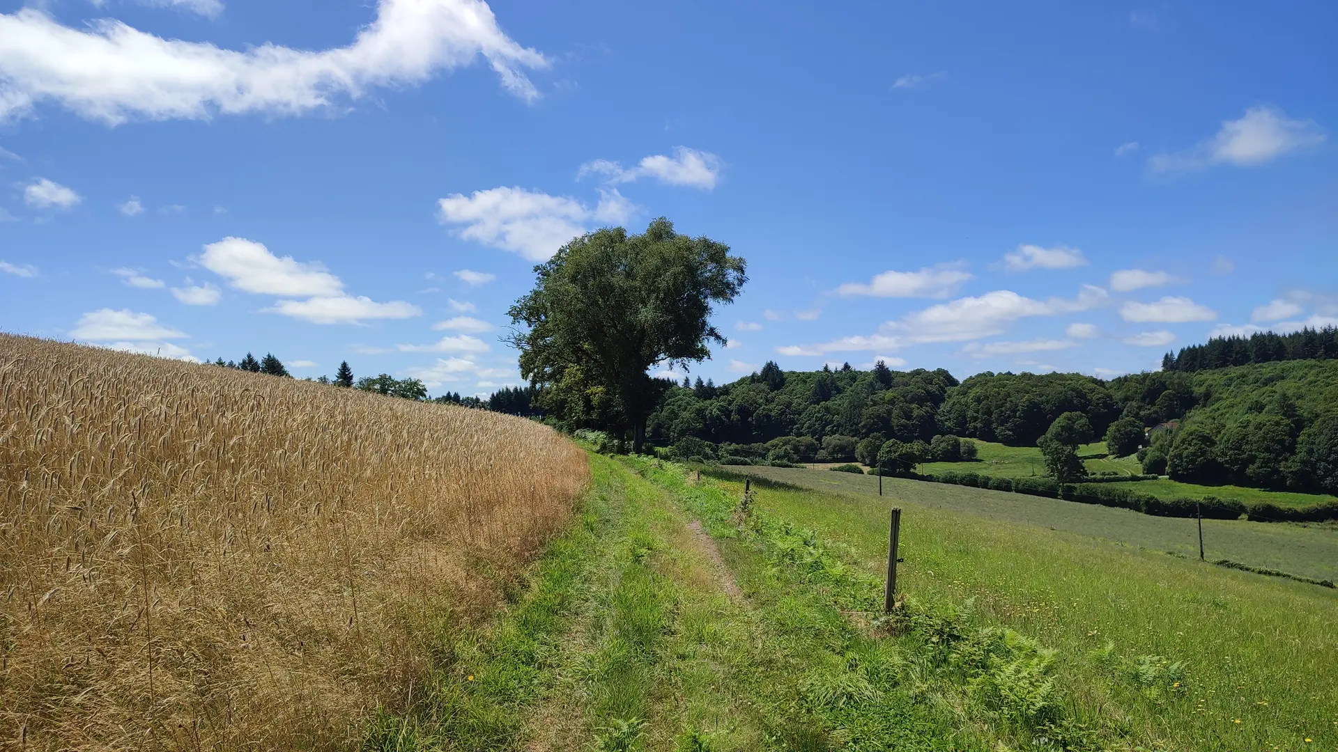 Auriat - la Pelade - Circuits VTT 5 et 6 - Pays Monts et Barrages - Aurélien Clavreul