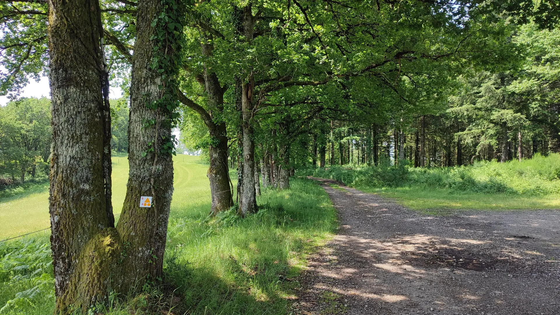 Auriat - le Puy - Circuits VTT 4 et 6 - Pays Monts et Barrages - Aurélien Clavreul