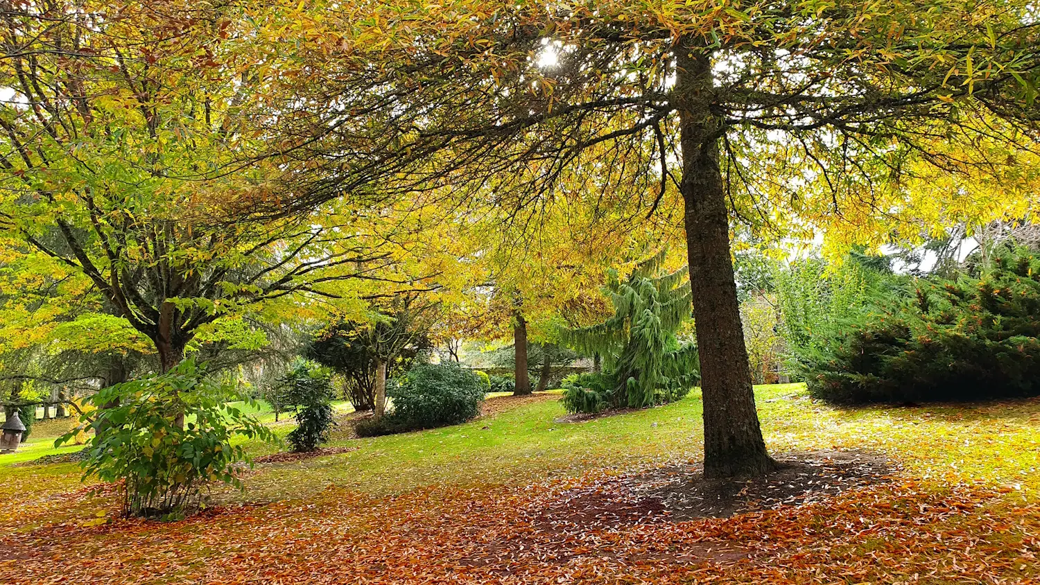 Arboretum communal