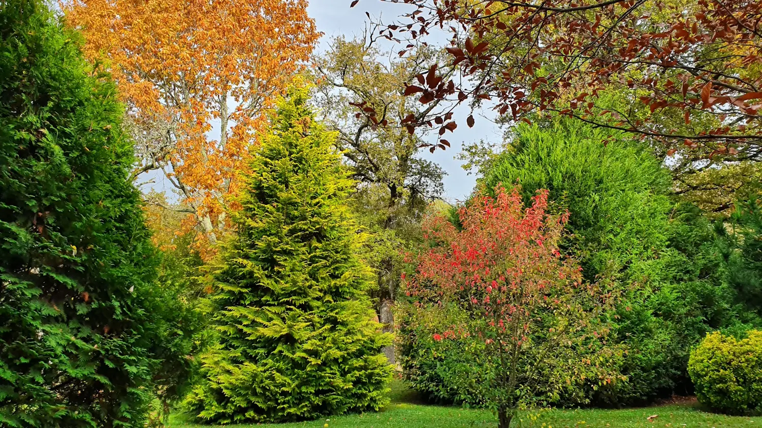 Arboretum communal